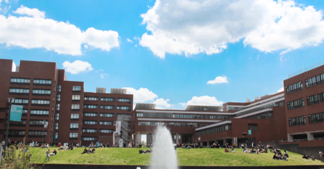 【生の声インタビュー】筑波大生にインターンを始めるメリットを聞いてみた